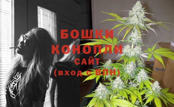 гидра Лабытнанги