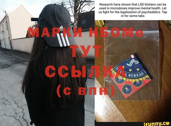 стаф Ладушкин