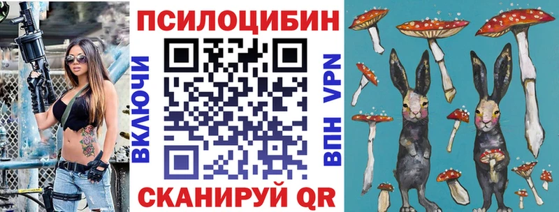 Купить где Ясногорск Галлюциногенные грибы GOLDEN TEACHER