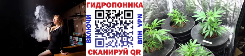 Купить  Ясногорск  Бошки марихуана VHQ 